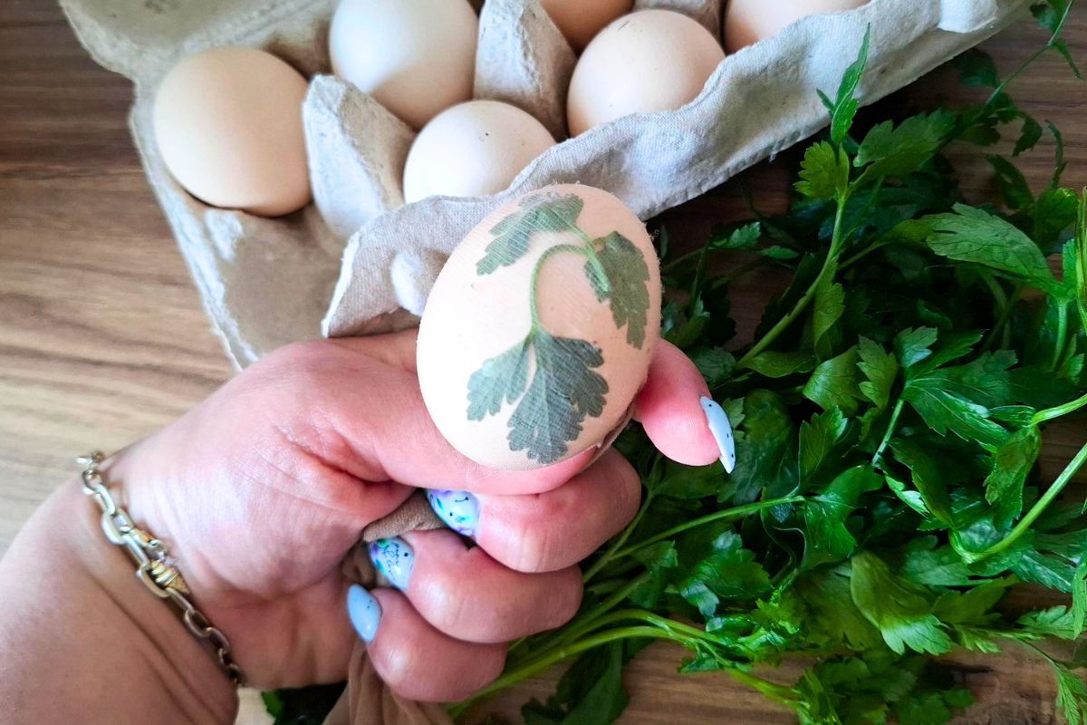 Przygotowywanie pisanek wielkanocnych dawną metodą