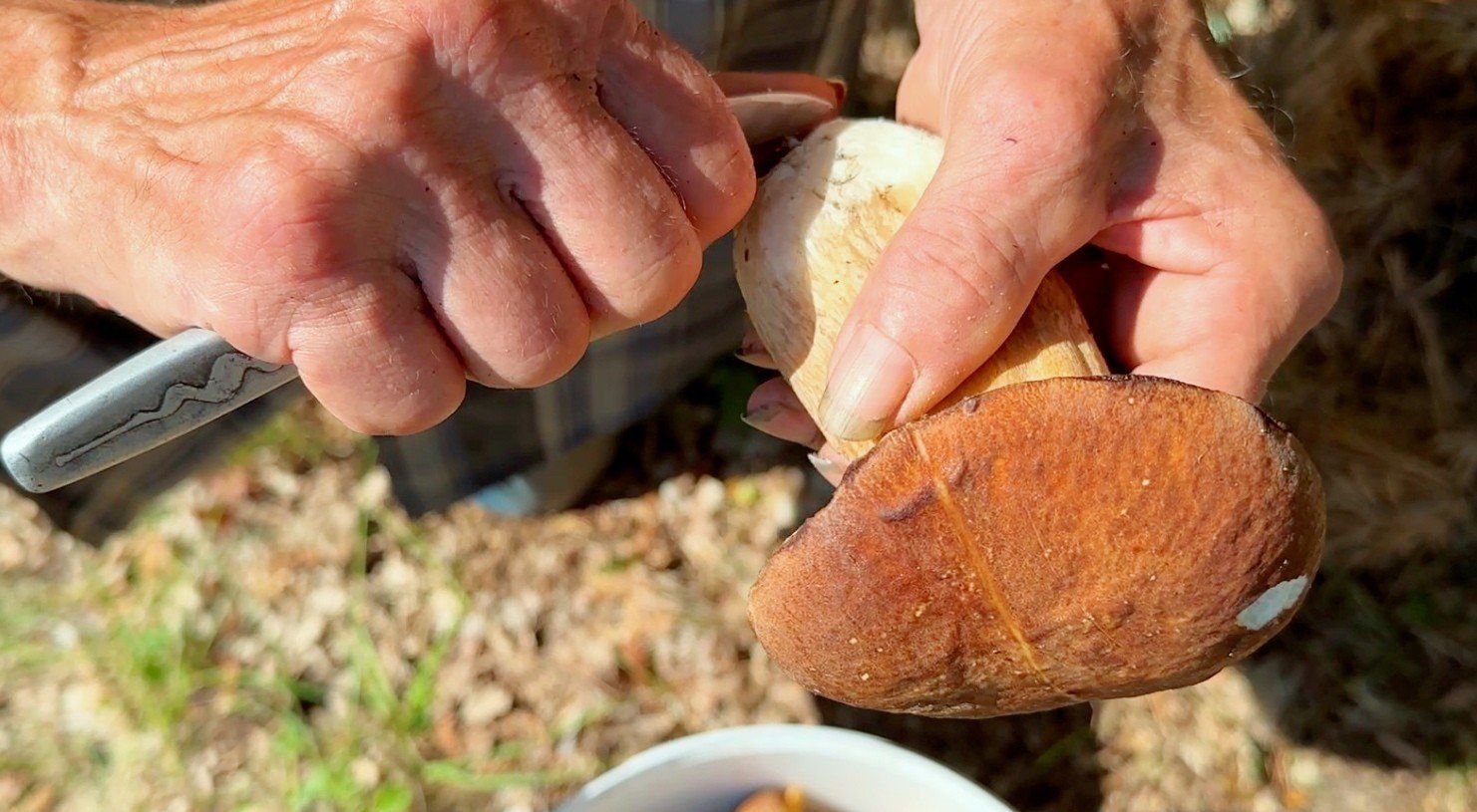 BRZEZINY - WIELKOPOLSKI POTENCJAŁ