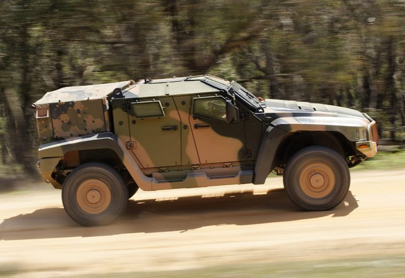 Hawkei – jadowity twardziel z Australii [wideo] 5