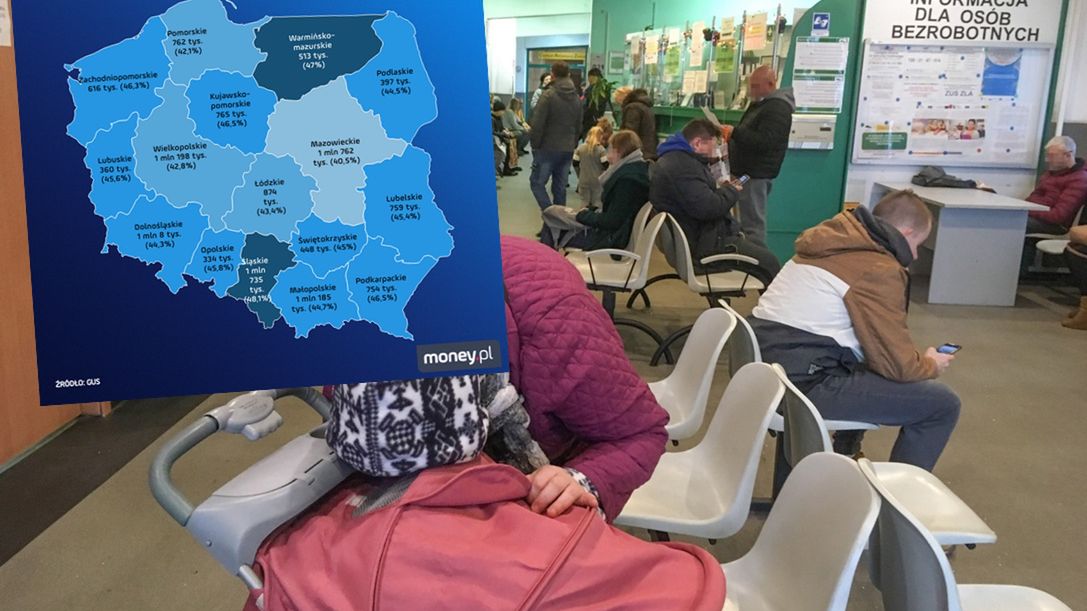 Kilkanaście milionów Polaków jest biernych zawodowo.