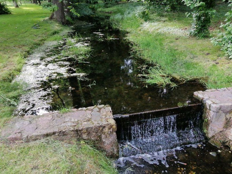Przy dworku jest wspaniały park