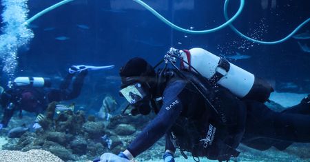 Nowa atrakcja w łódzkim zoo. Wcale nie chodzi o zwierzęta