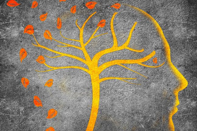 Regularne spożywanie kawy wspomaga profilaktykę zaburzeń pamięci, takich jak Alzheimer i choroba Parkinsona