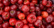 "Wiśnie z Barbadosu" to karaibski skarb. Mają 30-krotnie więcej witaminy C niż cytryna
