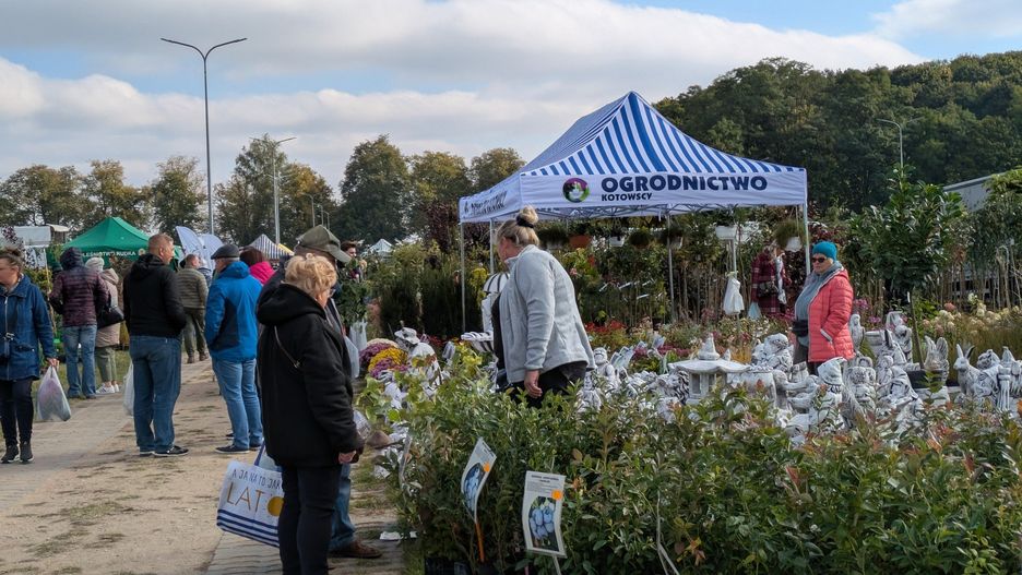 Jesień w sadzi i ogrodzie 2025