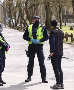 Koronawirus. Szczepienia dla psów, kotów i norek. Bliźniacza spółka Pfizera składa ofertę rządowi