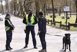 Koronawirus. Szczepienia dla psów, kotów i norek. Bliźniacza spółka Pfizera składa ofertę rządowi