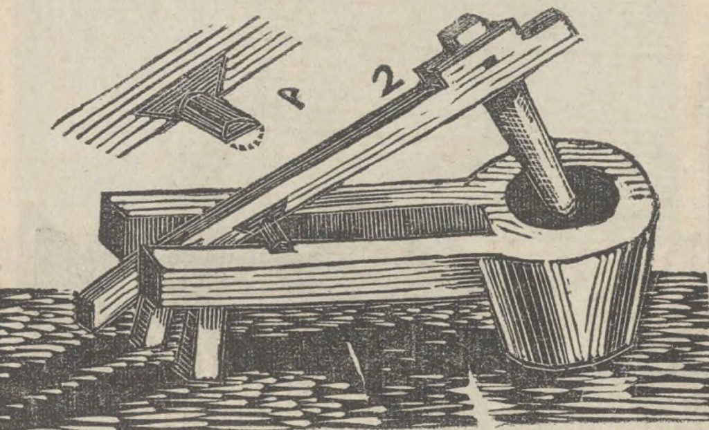Rysunek przedstawiający stępę