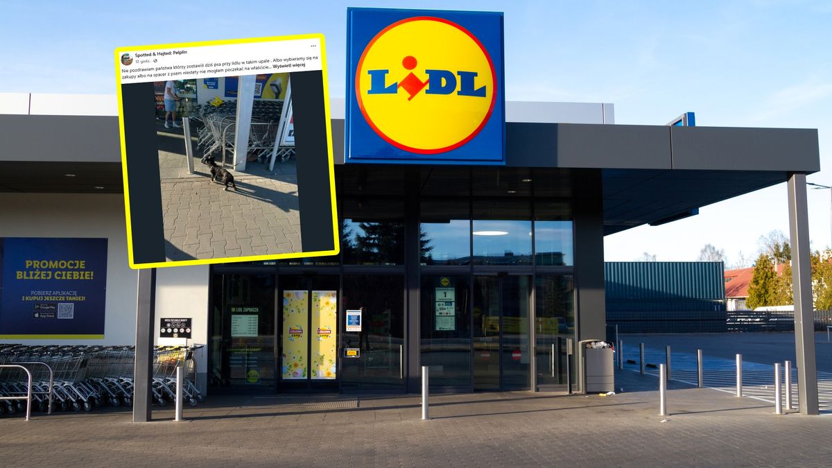 Oburzył ją widok przed Lidlem.