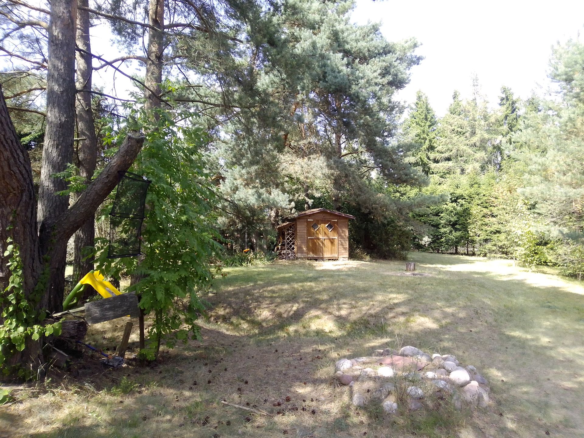 MyPhone Pocket Pro. Genialny smartfon za 500 zł, który zaskoczył mnie... wszystkim 10