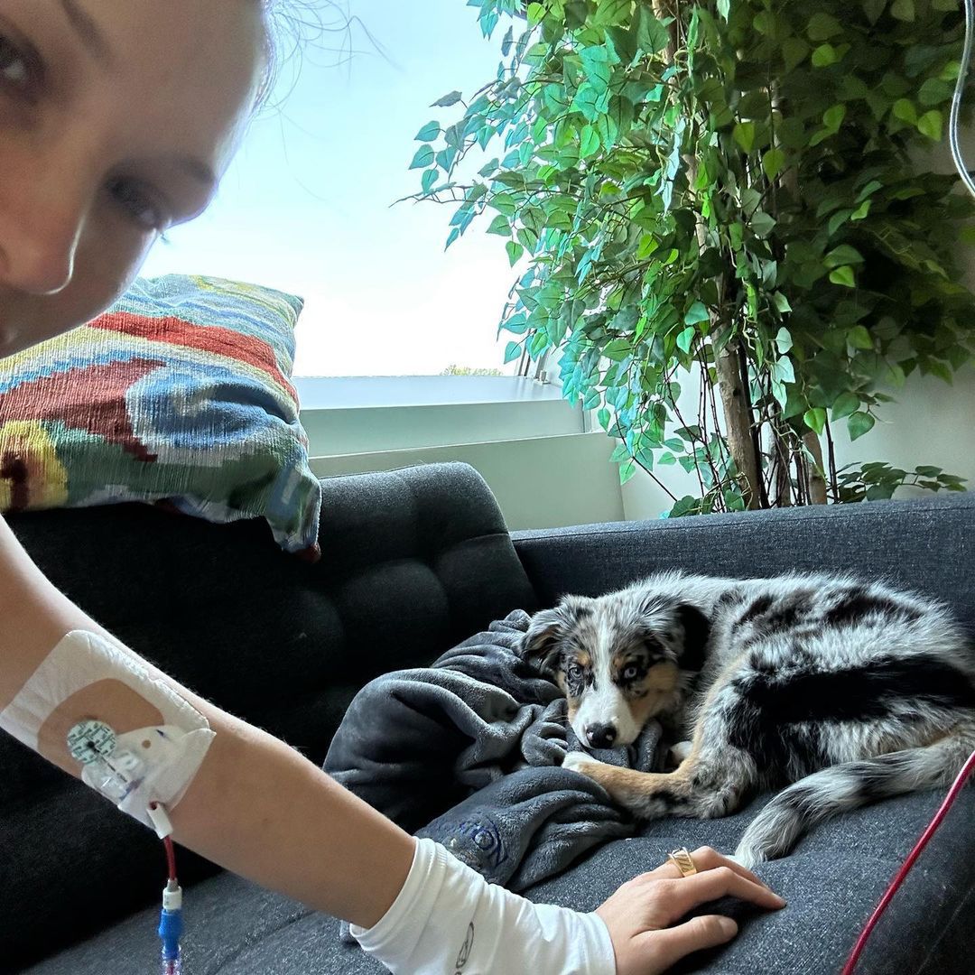 Bella Hadid ma boreliozę