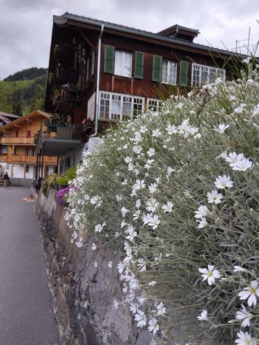 Wooden houses scattered on the mountain slopes captivate with their style.