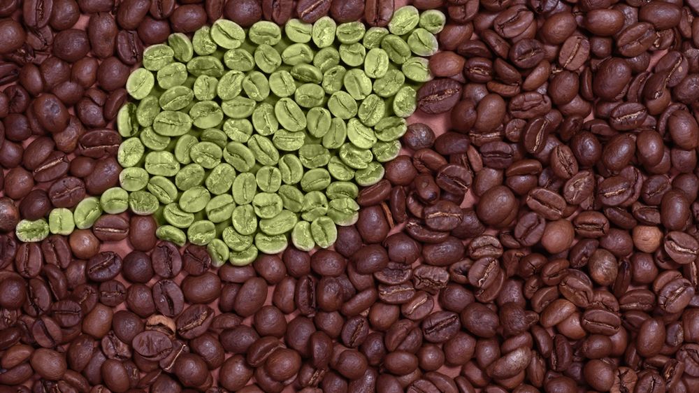 Zielona kawa wspomaga odchudzanie