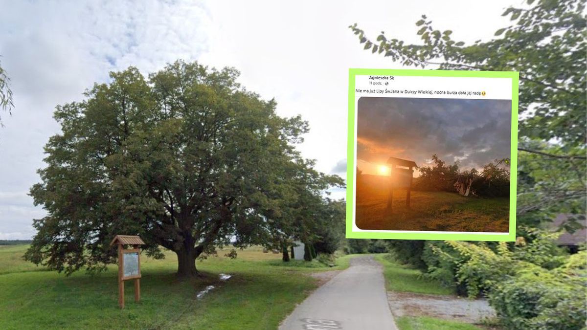 Koniec "wiejskiej dobrodziejki". Wichura powaliła słynną lipę z