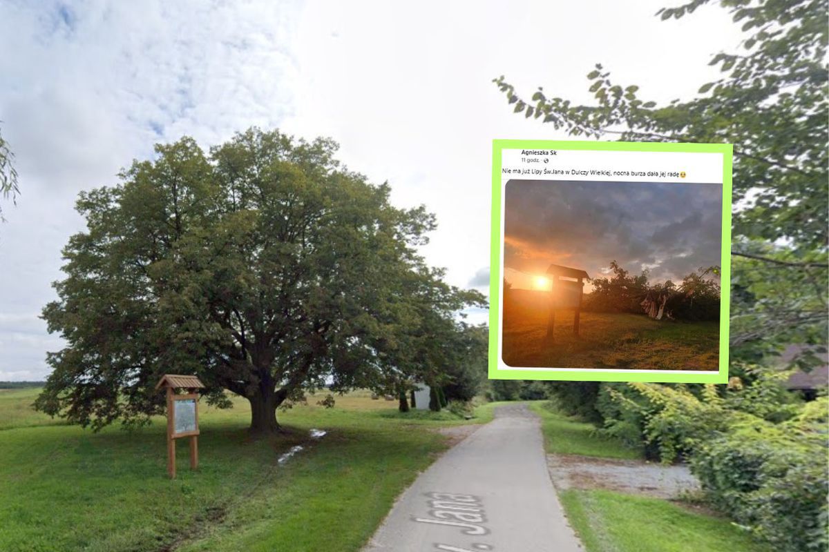 Słynne drzewo nie przetrwało. Smutny efekt nawałnic nad Polską