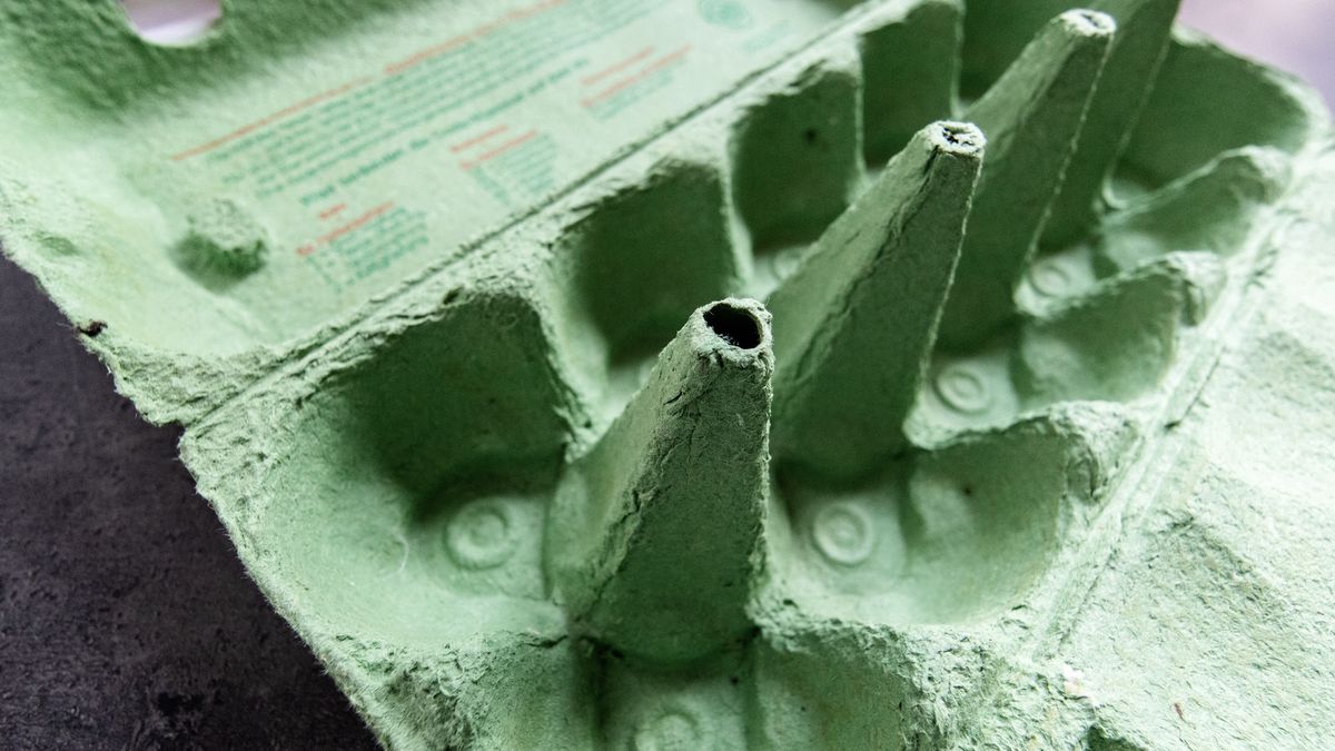 Gdzie wyrzucić opakowanie po jajkach?