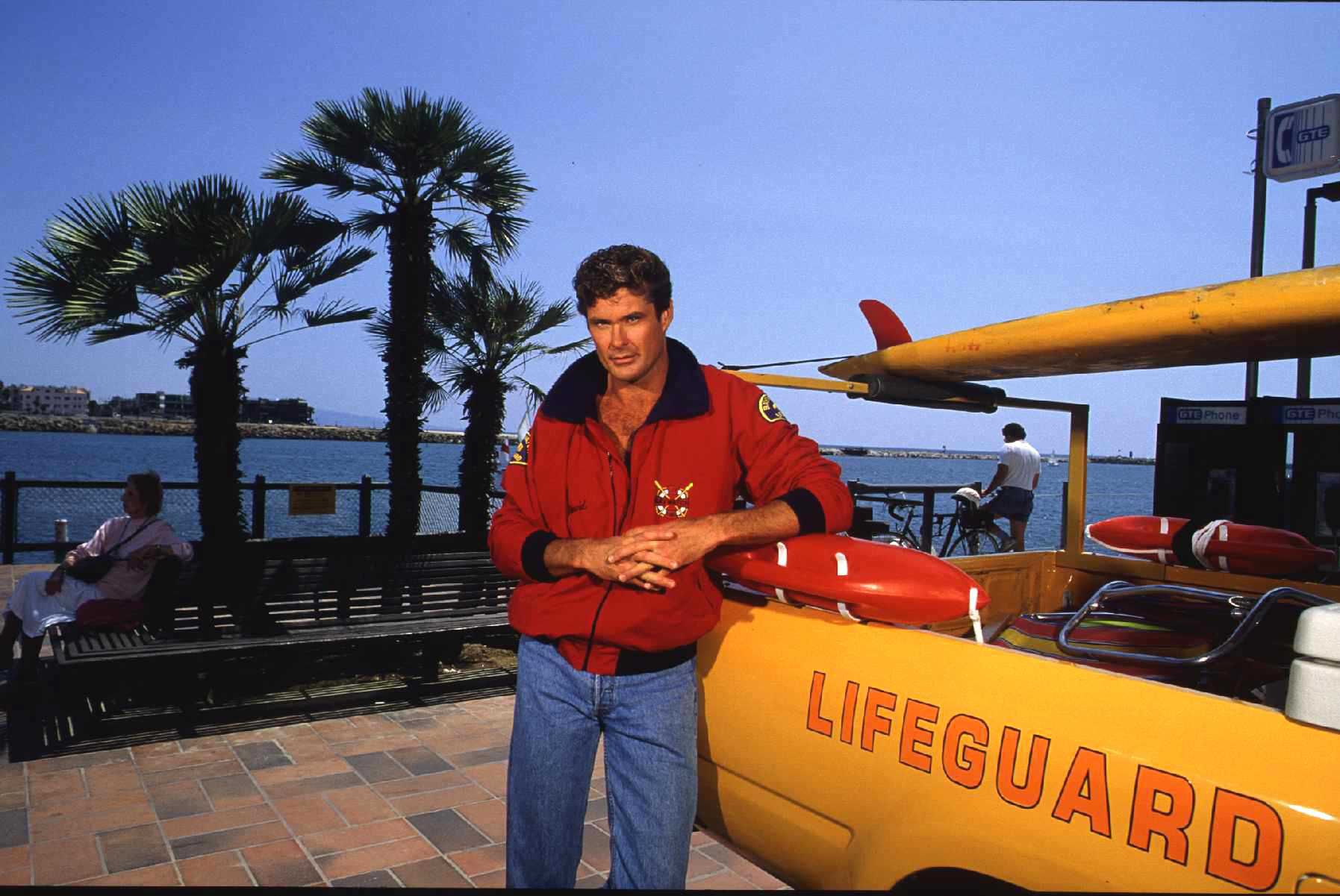 David Hasselhoff 