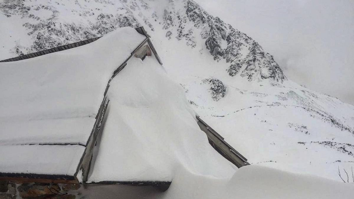 Zdjęcie dnia. Żółty śnieg w polskich górach. Eksperci wyjaśniają 1