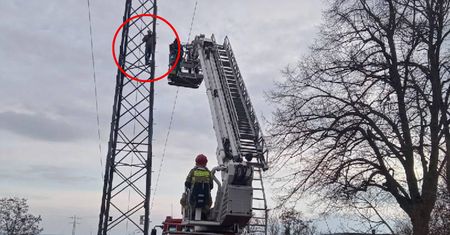 Wszedł na słup energetyczny. Wezwano negocjatorów. Porażające zdjęcia