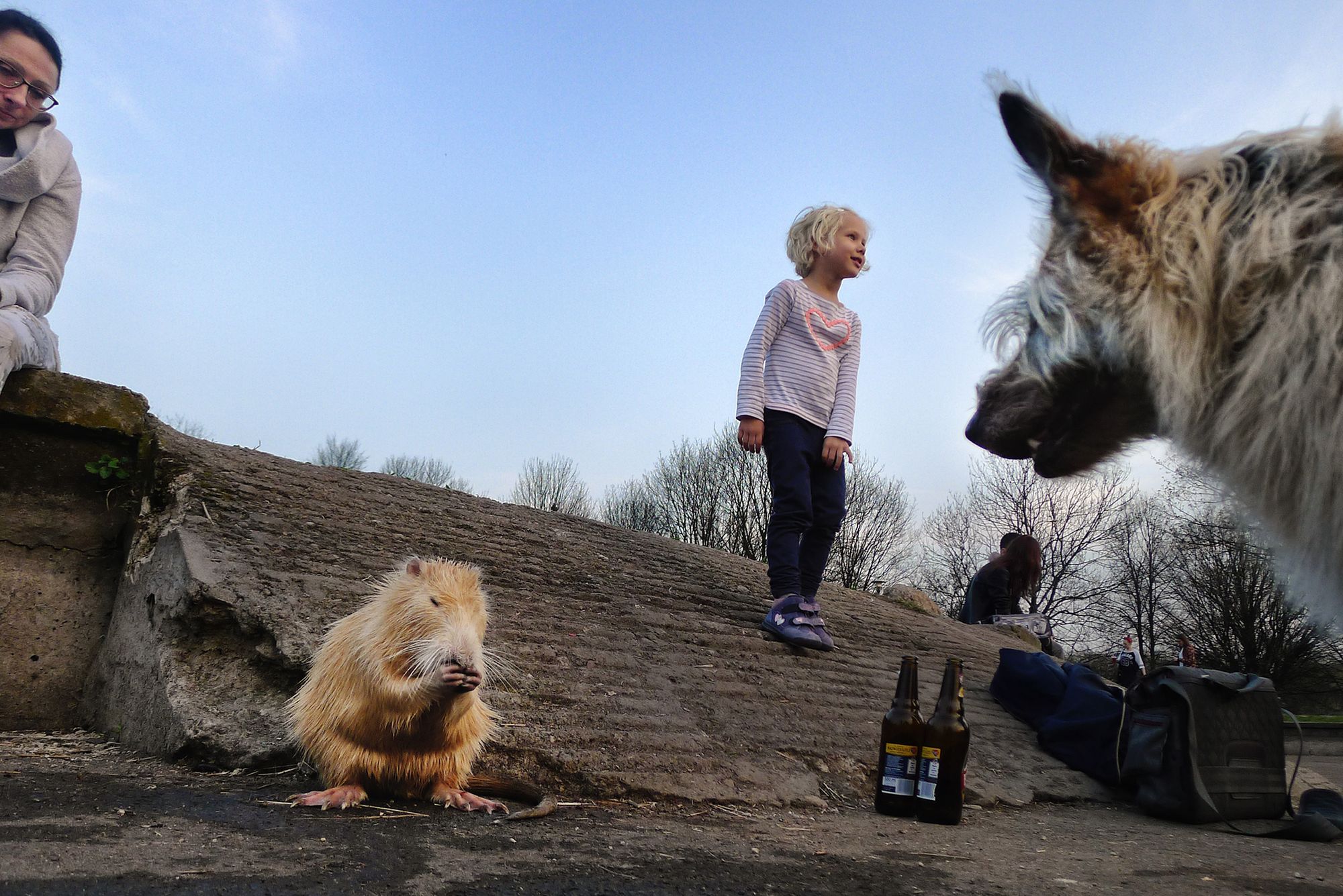 Uliczne rozmowy: Monika Krzyszkowska 4