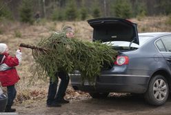 Absolutny "must have" na święta. Znamy ceny