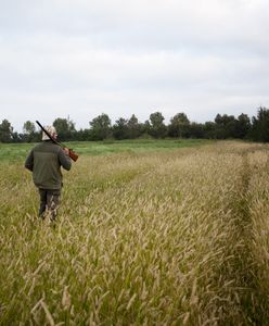 Badania nie tylko dla myśliwych. Nowa ustawa trafi do Sejmu