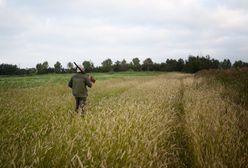 Badania nie tylko dla myśliwych. Nowa ustawa trafi do Sejmu