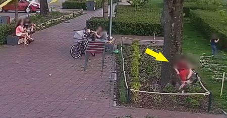 "Rodzice zajęci rozmową, a dzieci demolują klomby". Służby publikują zdjęcia