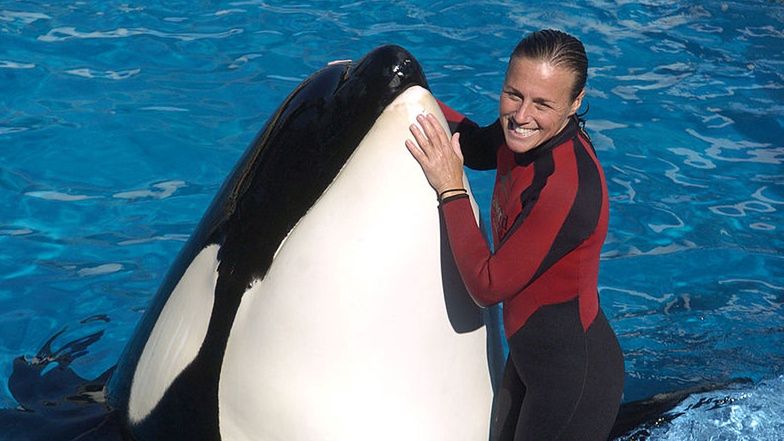 Dawn Brancheau pracowała z Tilikum przez niespełna 4 lata