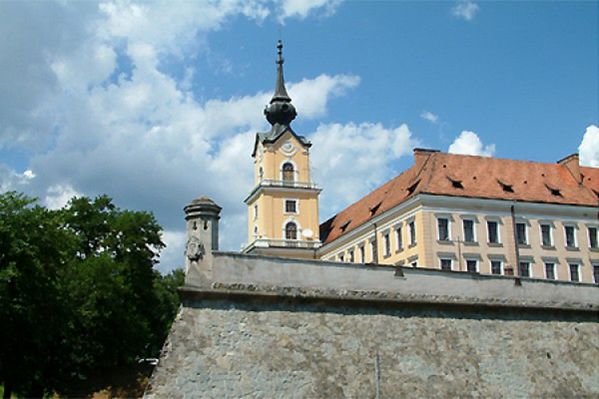 Obraz