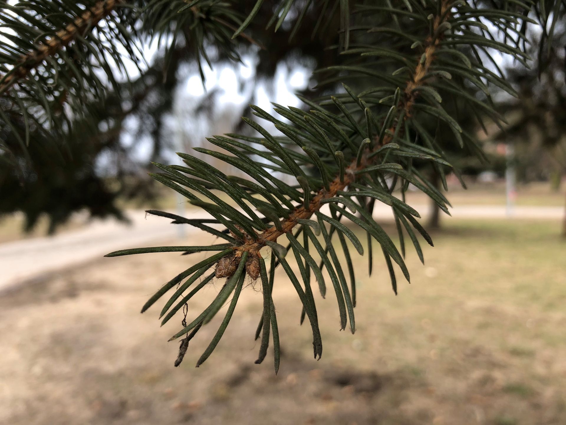 iPhone X to najlepszy iPhone, ale niekoniecznie najlepszy smartfon [TEST] 38