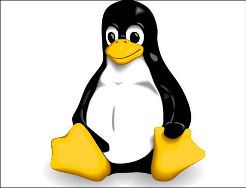 Grupa linuksowych serwerów źródłem złośliwego oprogramowania