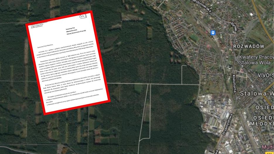 Wycinka lasów w Stalowej Woli