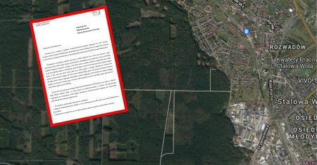 "W mateczniku PiS nadal wolno wszystko". 1000 ha lasów pod wycinkę