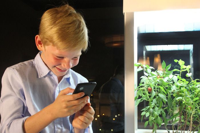 Niwa. Inteligentny ogród kontrolowany za pomocą smartfona 2