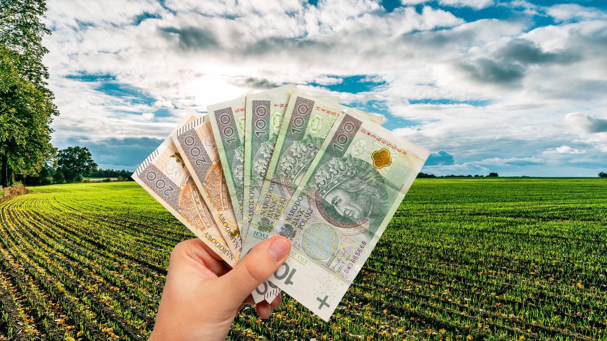 Rolnicy zapłacą więcej czy mniej? Rząd zmienia dopłaty do ubezpieczenia upraw