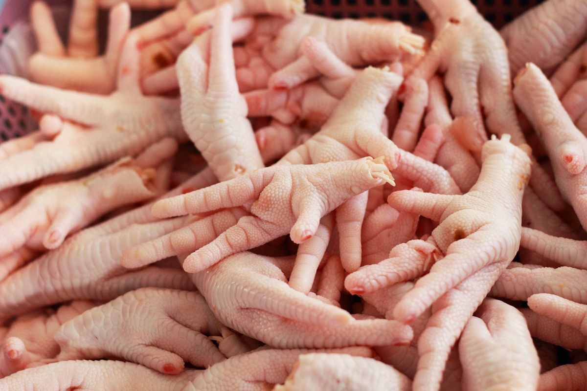 Eat chicken feet regularly. Your skin will be as beautiful as if you've just left the beautician's.