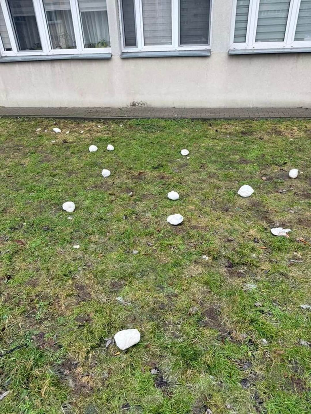 Pampersy na trawniku pod blokiem przy ul. Krzemienieckiej