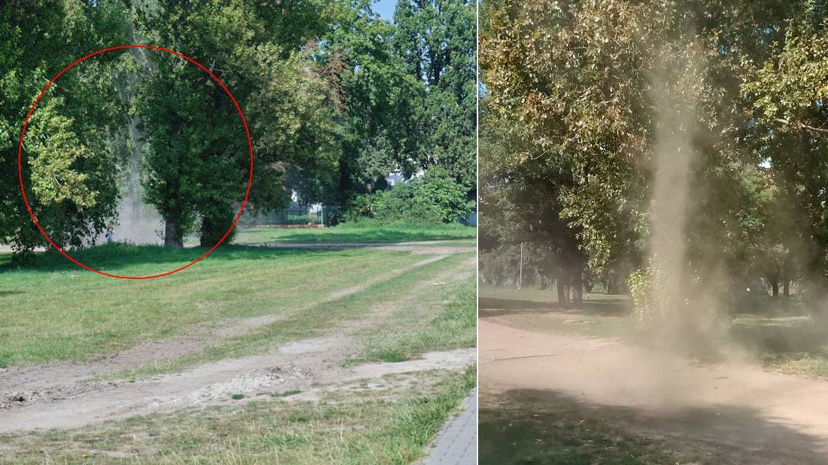 Diabełek pyłowy uchwycony w centrum Lublina