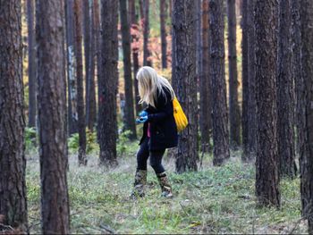 Zakazane w lesie. Kara to nawet 5 tys. zł