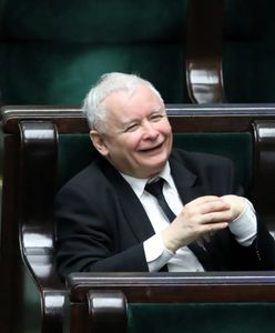 Posłowie rekordziści. Kaczyński ma się z czego cieszyć