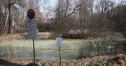 Kraków: Przyducha w stawie. Mieszkańcy podnieśli fałszywy alarm