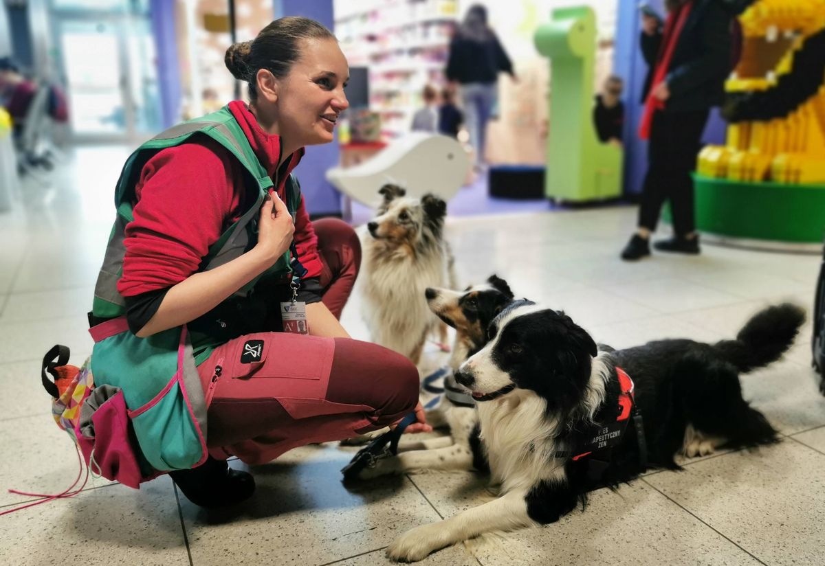 Katarzyna Harmata z trzema psami - Zenem, Larą i Ciri tworzą grupę wsparcia emocjonalnego na lotnisku w Krakowie