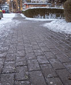 Bydgoszcz nie radzi sobie z atakiem zimy. Miasto wyciągnie konsekwencje. "Niedopuszczalne"