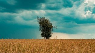 Głos wsi usłyszany! Nowy priorytet w „Strategii Rozwoju Polski do 2035 r.”