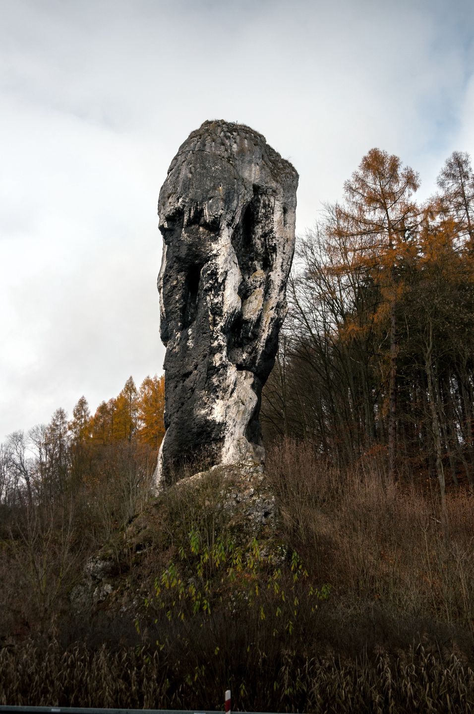 Porównanie aut rodzinnych w Ojcowie