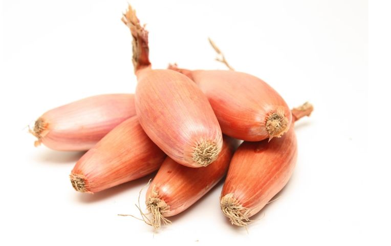 Szalotka, znana jako czosnek askaloński, cebula szalotka czy cebuloczosnek, to gatunek warzywnej byliny z rodziny amarylkowatych.