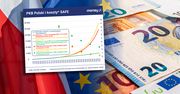 Krytycy SAFE nie wierzą w Polskę. Oto dlaczego ten dług jest niegroźny [OPINIA]