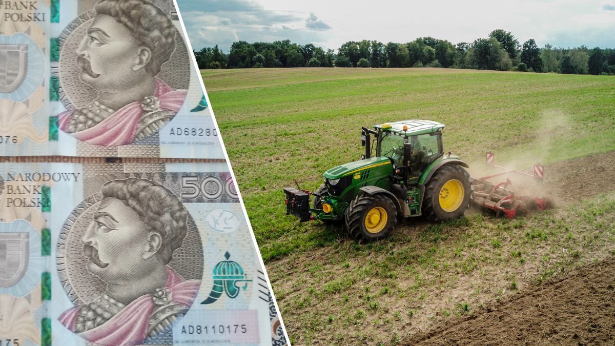 Wielkopolska: KOWR wydzierżawi aż 30 gospodarstw od 3 do 68 ha