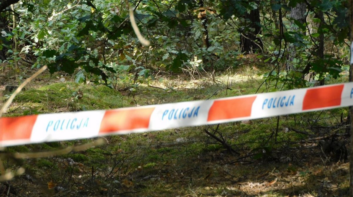 Tragiczny wypadek podczas wycinki drzew. Nie żyją ojciec i syn.
